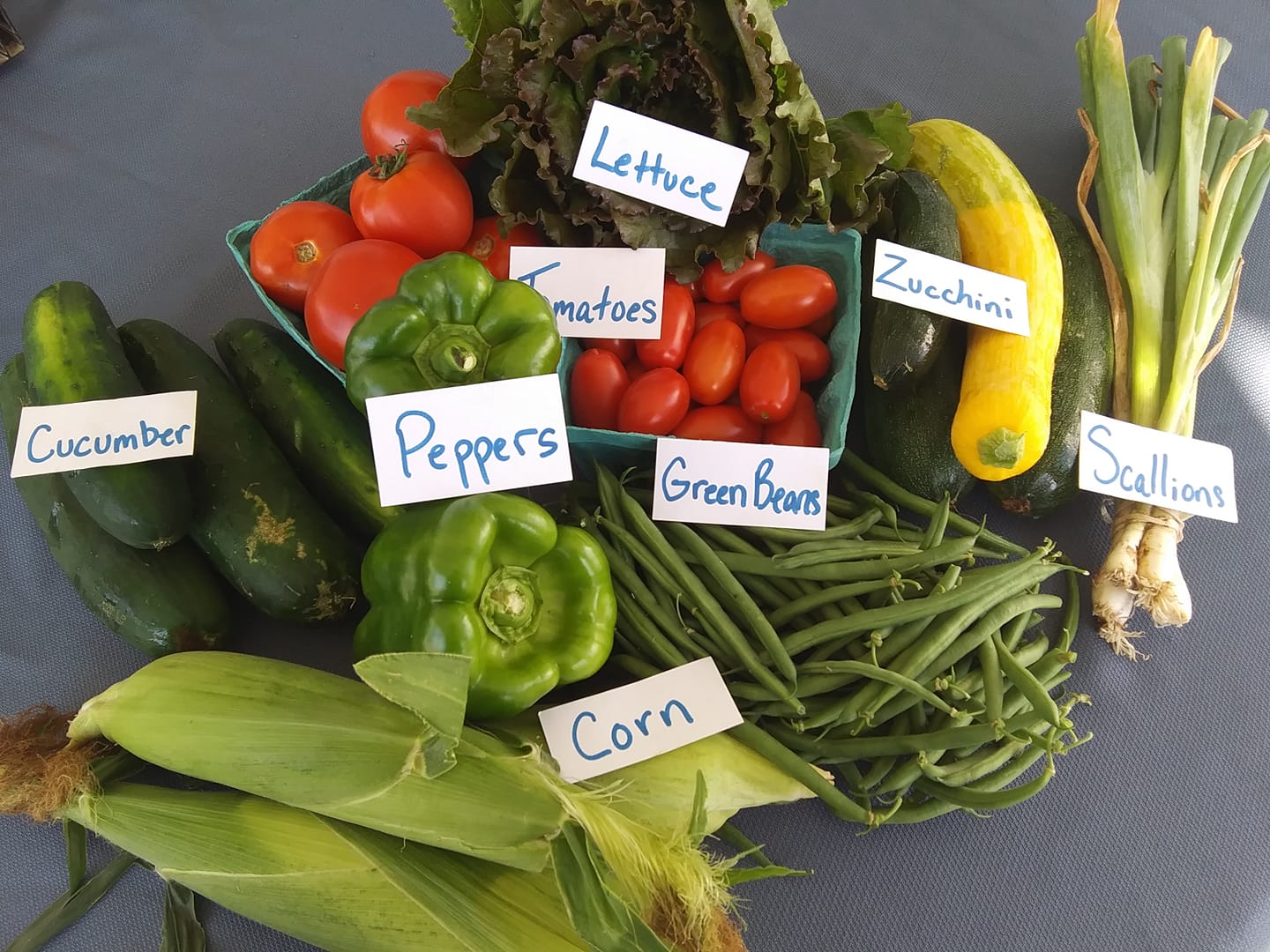 Full CSA Subscription (16 weeks)