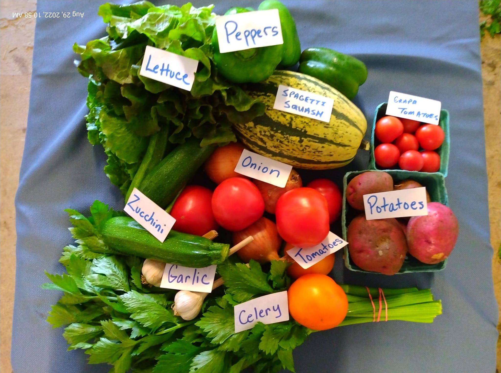 Customized Home Delivery Box (full share)